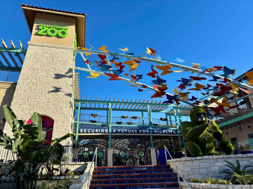 San Antonio Zoo